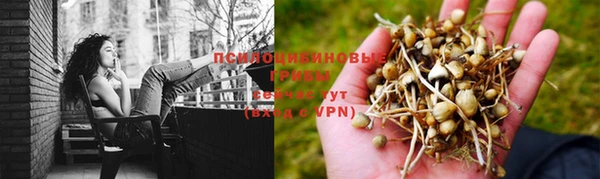 дмт Арсеньев