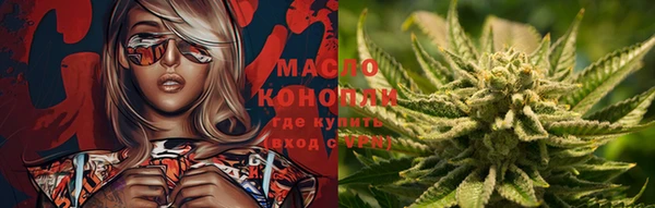 дмт Арсеньев