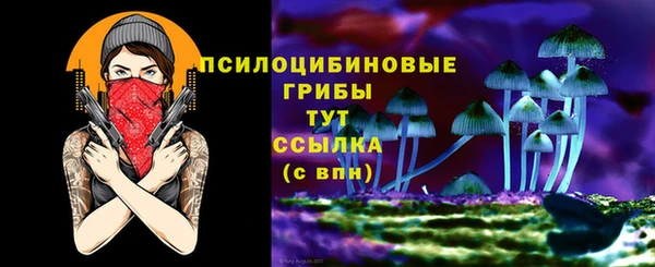 дмт Арсеньев