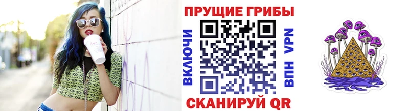 Псилоцибиновые грибы GOLDEN TEACHER купить закладку Сортавала